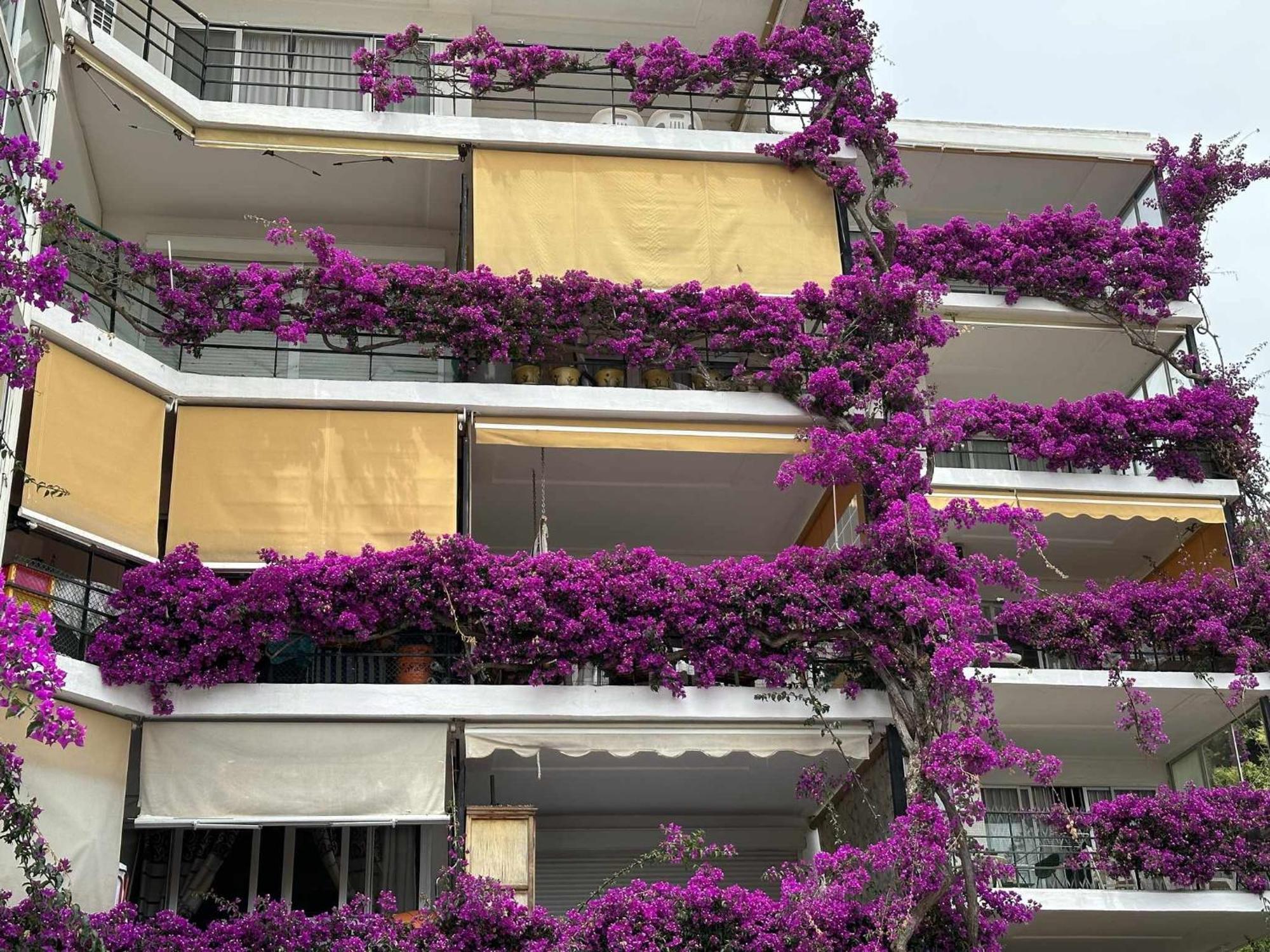 La Carihuela A 5 Minutos De La Playavistas Al Mar Daire Torremolinos Dış mekan fotoğraf